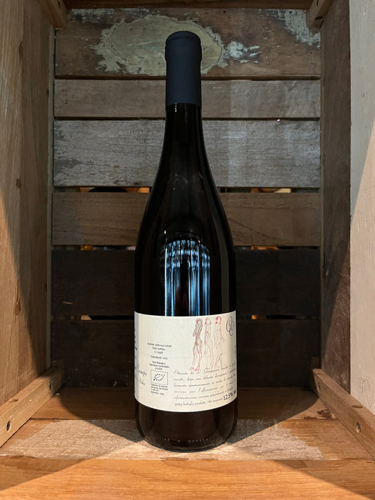 Cinque Campi Fuorleggero Lambrusco Rosato 2021